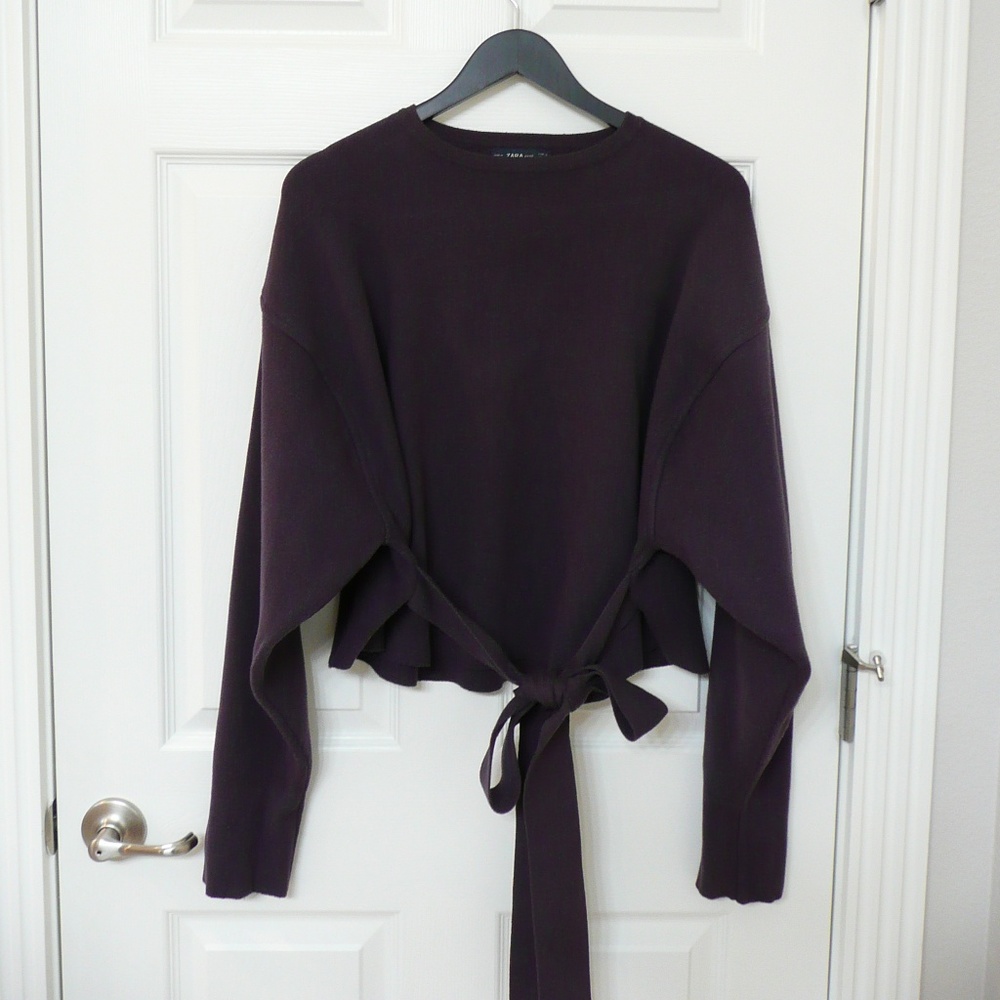Zara Knit Plum Thick Sweater Crop